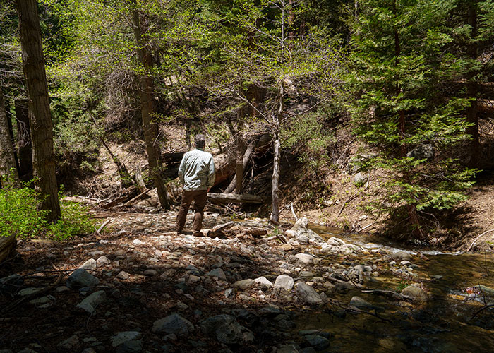 Alger Creek, San Gorgonio Wilderness