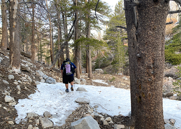 Steve heading down the trail